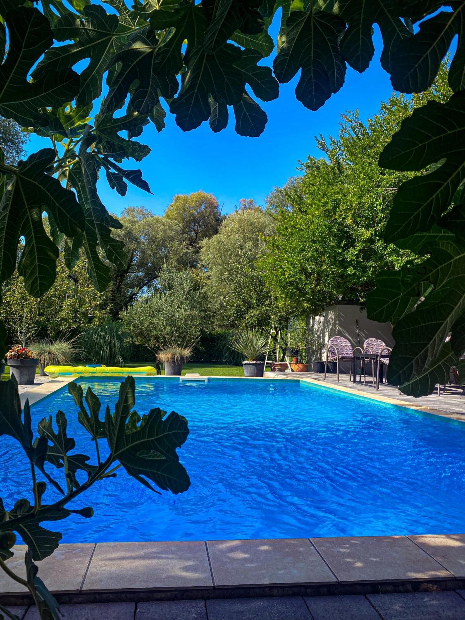 Villa D Blagaj Kültér fotó
